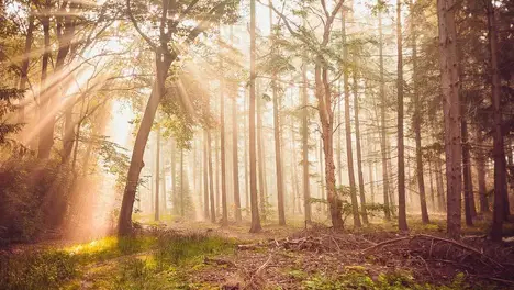 运动电竞巅峰荣耀：T1战队与英雄联盟包揽Esports Awards十年大奖，Faker封神、S7全球总决赛载入史册